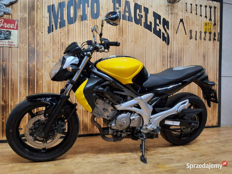 Suzuki SFV Gladius suzuki gladius 650 SFV RATY Stare Miasto sprzedam