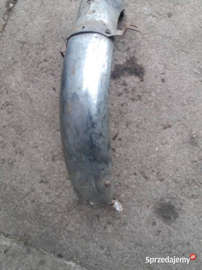 Błotniki Wsk sport lelek dudek kos bąk Lisew