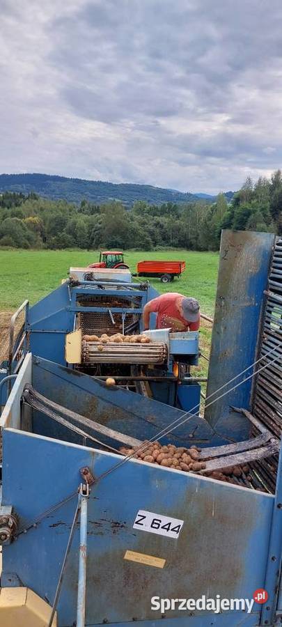 Kombajn do ziemniaków Anna Z644 Gilowice