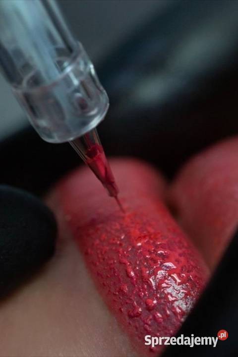 Makijaż permanentny zawsze idealne brwi usta i Chorzów sprzedam