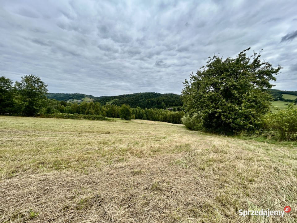 sprzedaży gruntu Laskowa 1300m2 1300m2 sprzedam