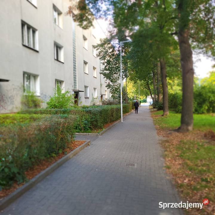 BISKUPIN 2pokoje BEZPOŚREDNIO Wrocław