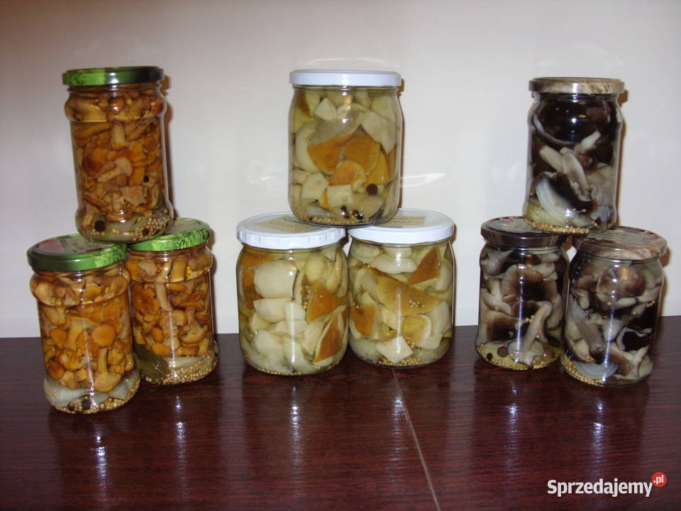 Ekologiczne grzybki i jagody Mława