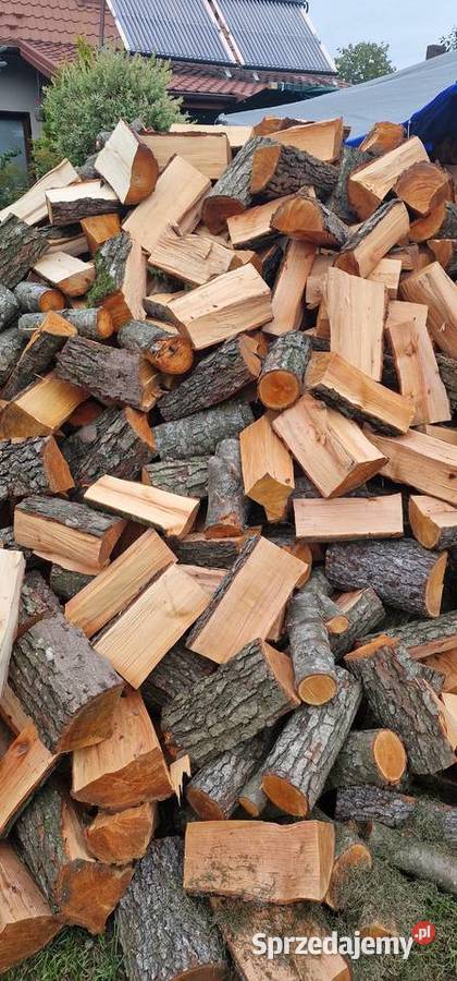 Olszyna Olcha Drewno Opałowe Dowoz Porabane Augustów