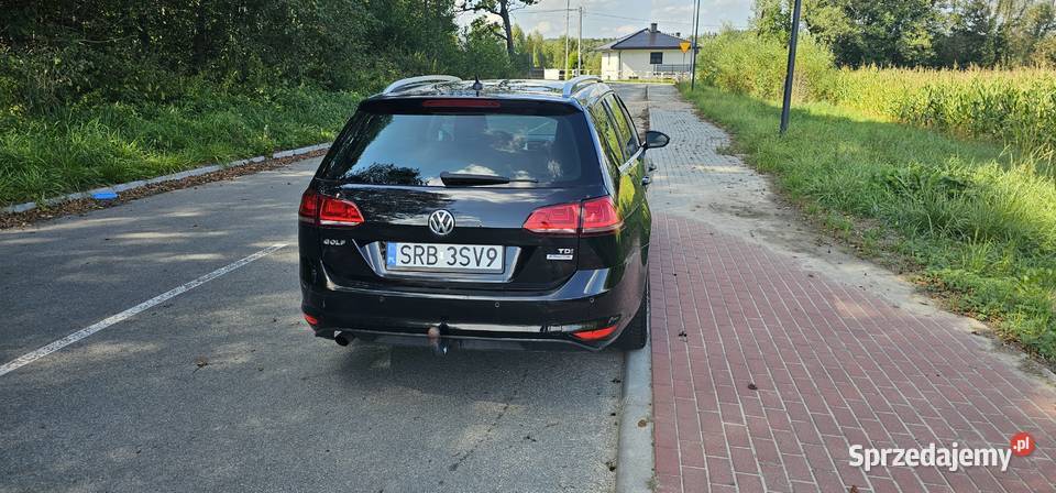 Volkswagen Golf 16 TDI Jastrzębie-Zdrój
