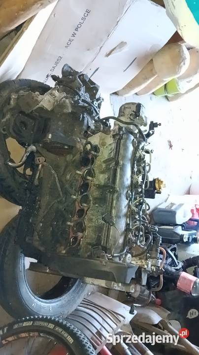 F9Q Silnik19dci 120 F9Q renault osobowe Człuchów