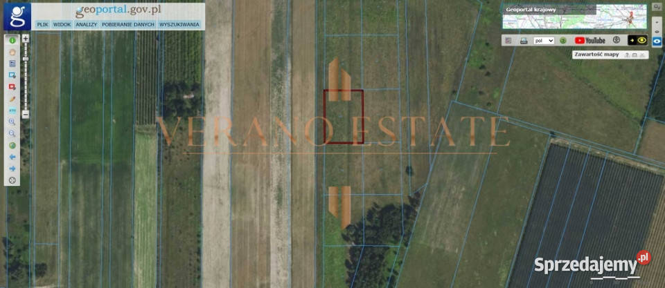 Działka rolna 3000 m2 do negocjacji rolna Adamów Drwalewski
