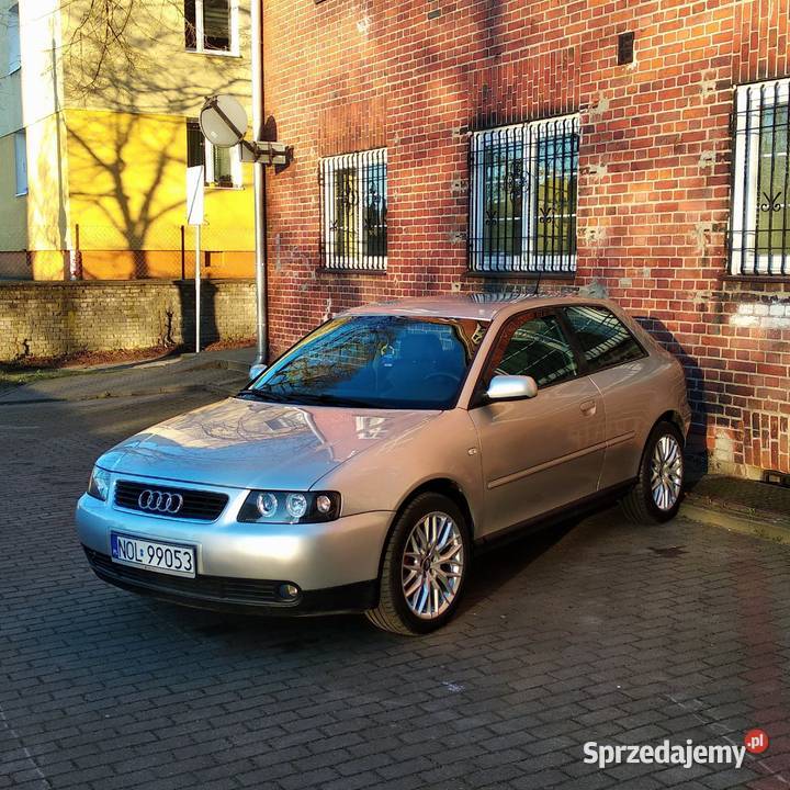 Audi A3 8l Lift 19 tdi 130 ASZ 6 biegów 3 drzwi Różnowo sprzedam