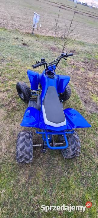 Quad150 nieuszkodzony Bashan Włocławek