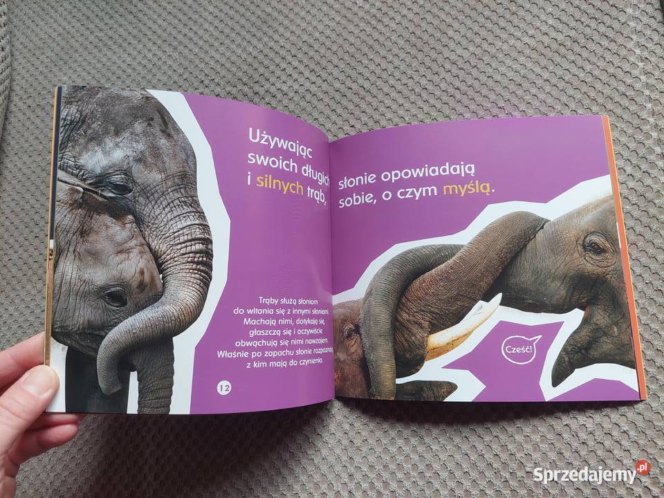 Co jeden słoń powiedział drugiemu Becky Baines Kraków