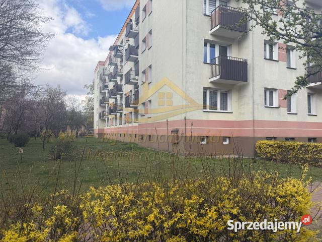 Mieszkanie na sprzedaż 33m2 1pok Grodzisk Liczba pokoi 1