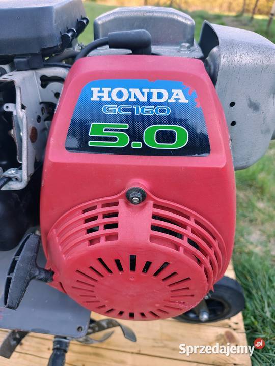 Glebogryzarka PUBERT PRIMO 50 HD2 Silnik HONDA Łódź