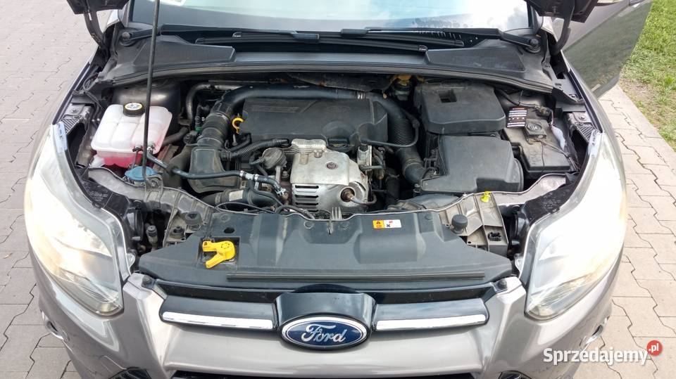 Ford Focus 2014 r Kombi TITANIUM Hak ładny manualna Opole