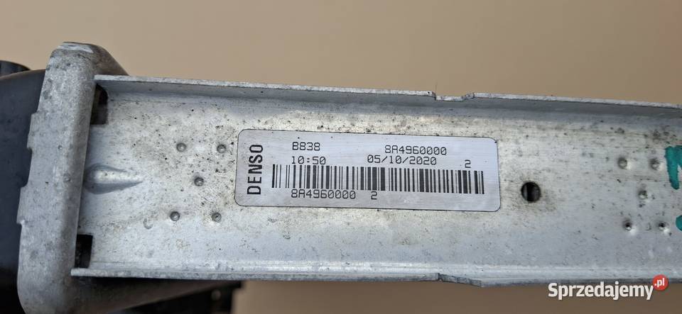 IVECO DAILY 12 14 19 CHŁODNICA CIECZY WODY 600MM dostawcze Bieleń