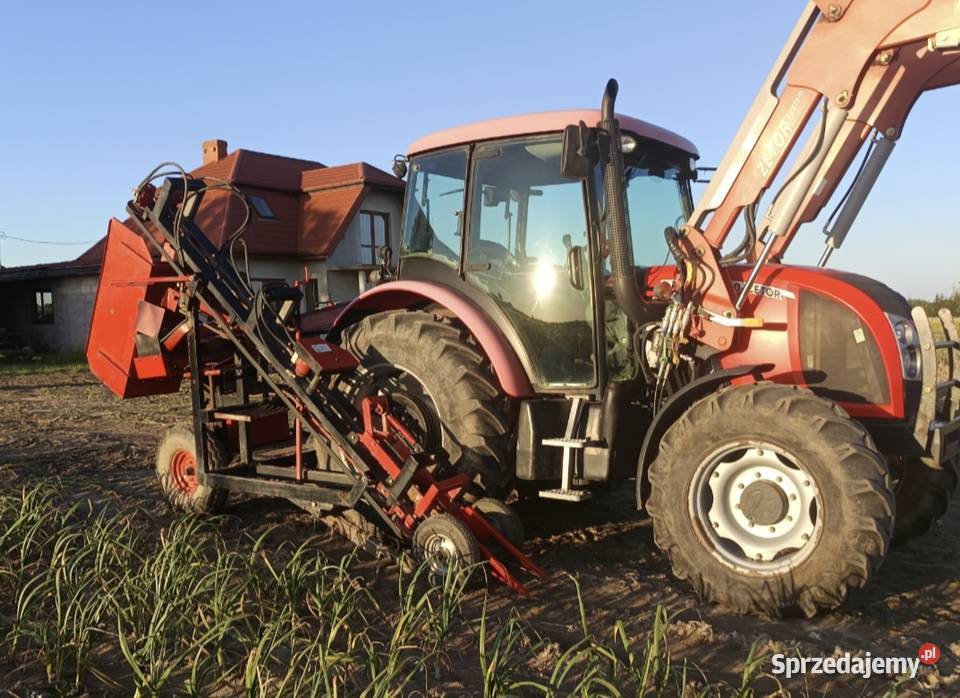 Kombajn do czosnku obcinający firmy erme Sierpc