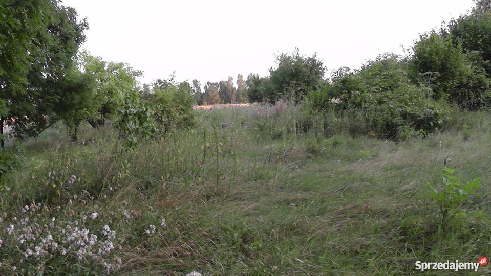 Działka w Chylinie Wielkim Grunty i działki Chylin Wielki