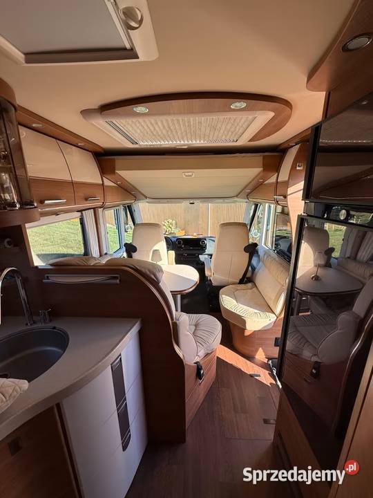 CARTHAGO CLINE CHIC I 49 LE Superior Opole