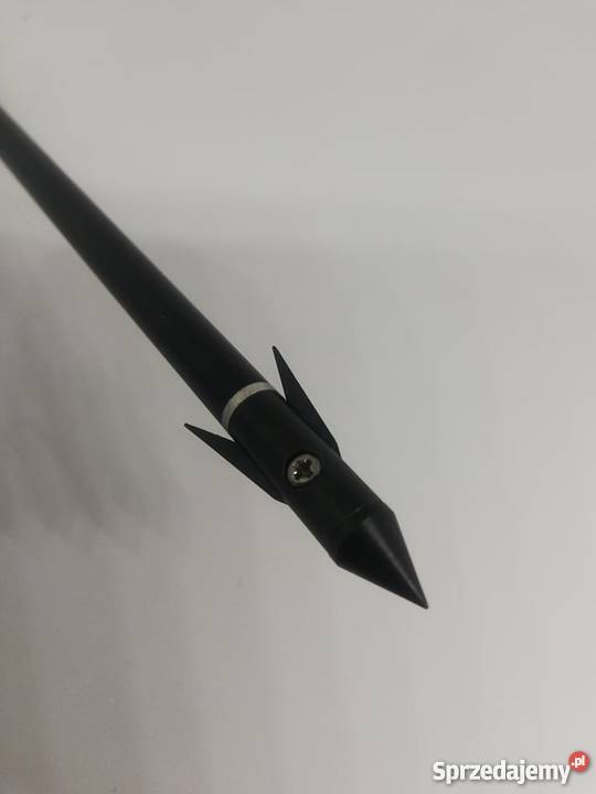 Groty do polowań na ryby bowfishing myśliwskie małopolskie Nowy Sącz