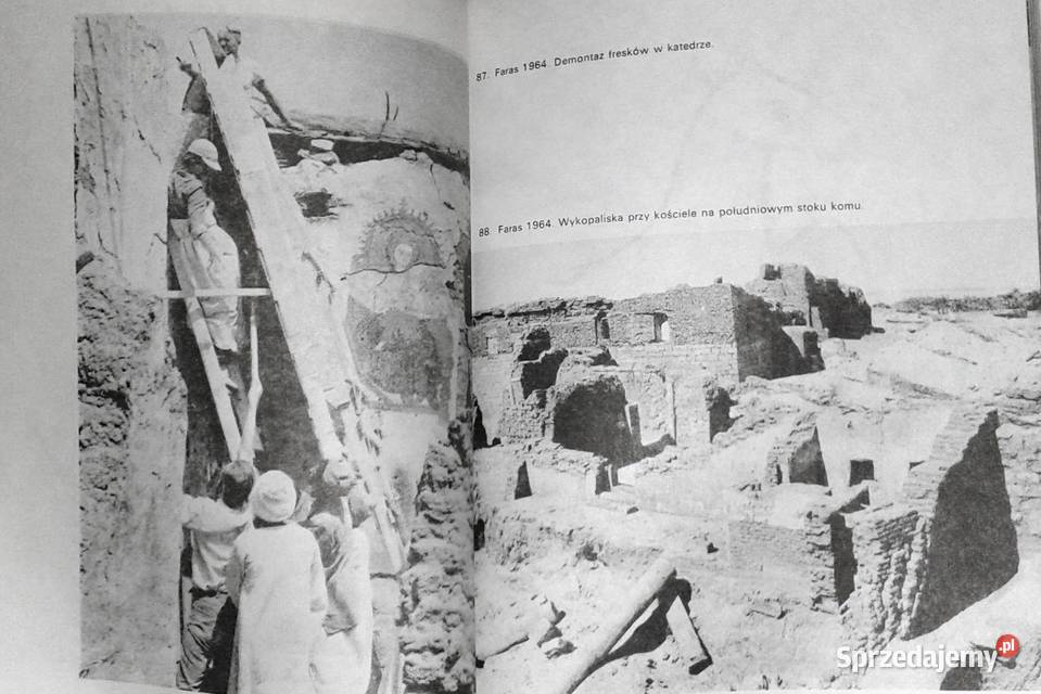 Edfu do Faras Kazimierz Michałowski Książki i Podręczniki