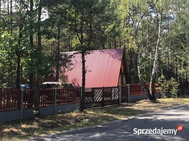 sprzedam domek letniskowy Jankowice gmŁadzice 692m2 Domy Janikowice