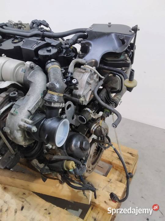 SILNIK KOMPLETNY DIESEL D4162T AV6Q6006BB 16 D2 sprzedam