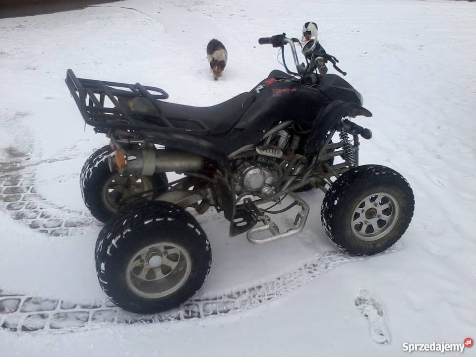 quad eagle 250 ciecz bashan 200 150 125