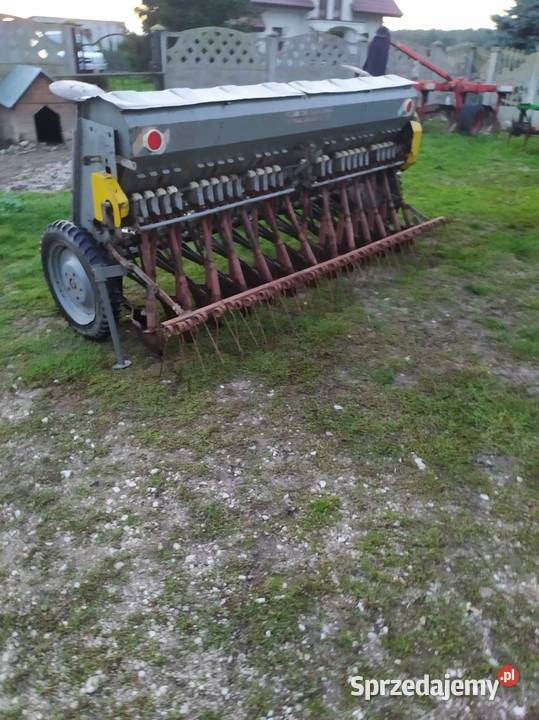Siewnik poznaniak Dębówiec sprzedam