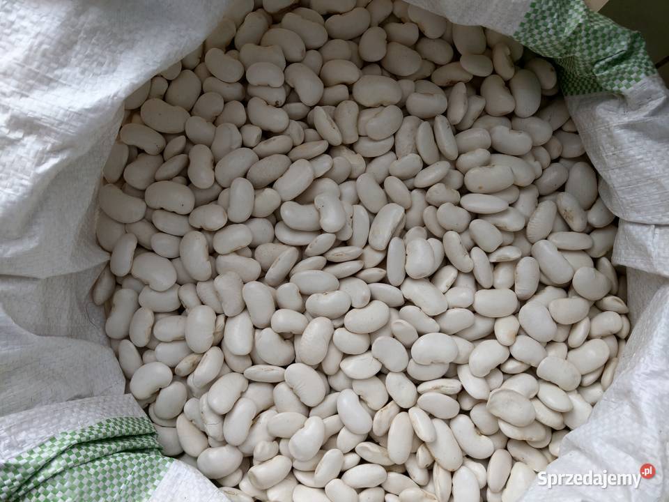 Fasola kontra Brzostków