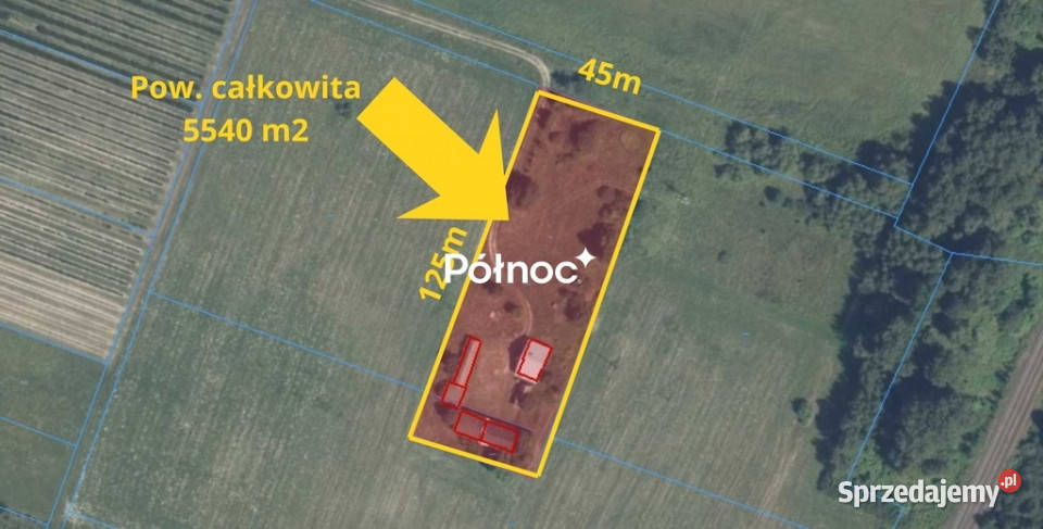 Dom na końcu świata cisza prywatność 5540m2 Franopol