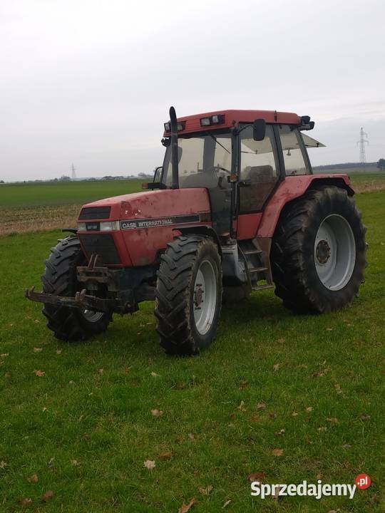 Case 5140 5120 5150 Ostrzeszów sprzedam
