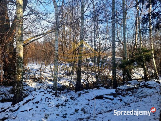 sprzedaży domu wolnostojącego BudyGrzybek 60m2 Budy-Grzybek