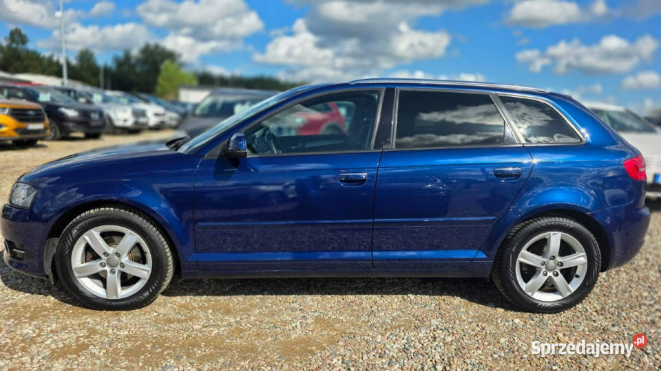 Audi A3 climatronic super stan automat ledy immobilizer Lębork