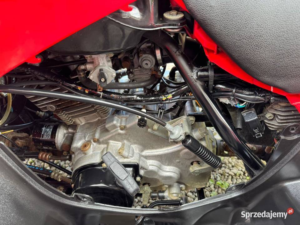 Suzuki Eiger 400 4x4 L7e 149kW HakTRANSPORT nieuszkodzony mazowieckie Ruskołęka-Parcele sprzedam