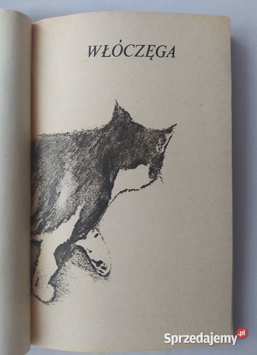 WŁÓCZĘGA Maria Terlecka Rok wydania 1984 Hajnówka