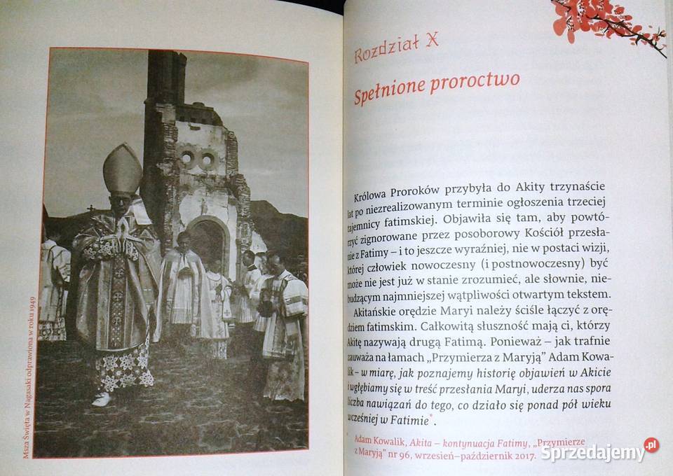 Akita Więcej ostrzeżeń nie będzie Jerzy Wolak Chełm