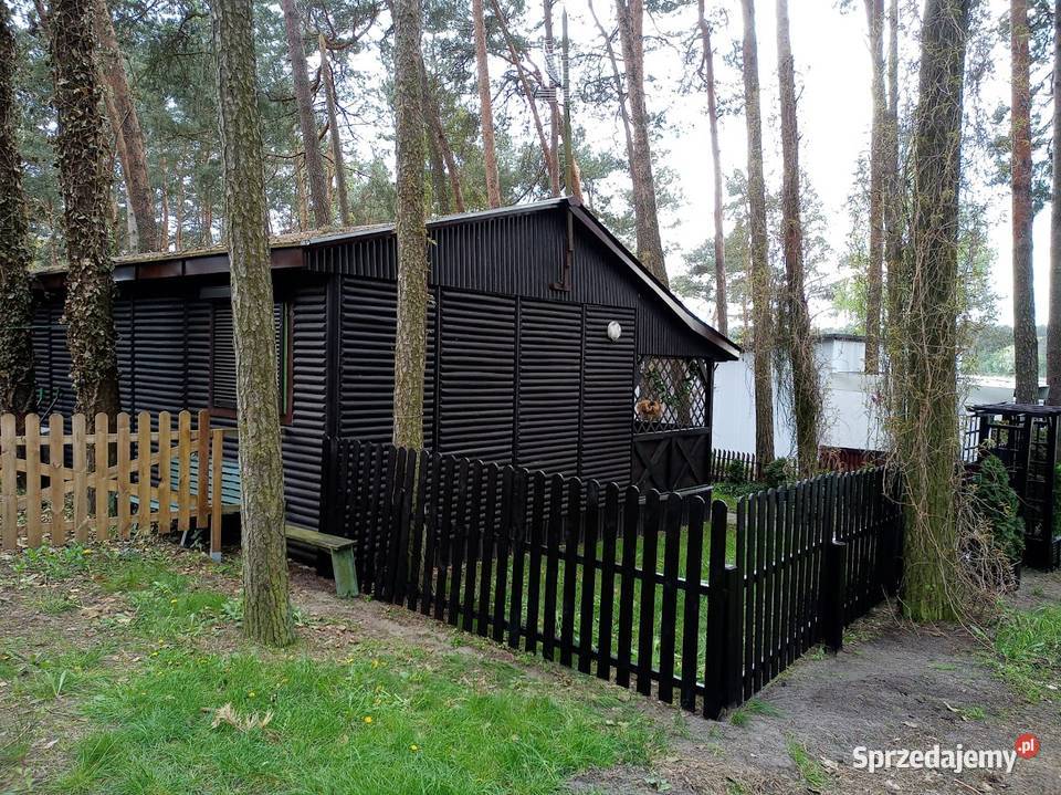 DOMEK LETNISKOWY w GRZYBOWIE koło Skoków Skoki