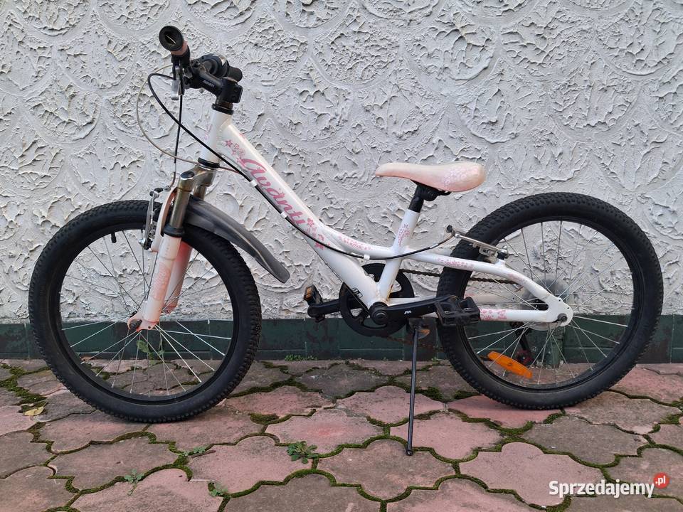 Rower dziecięcy 20 Zamość