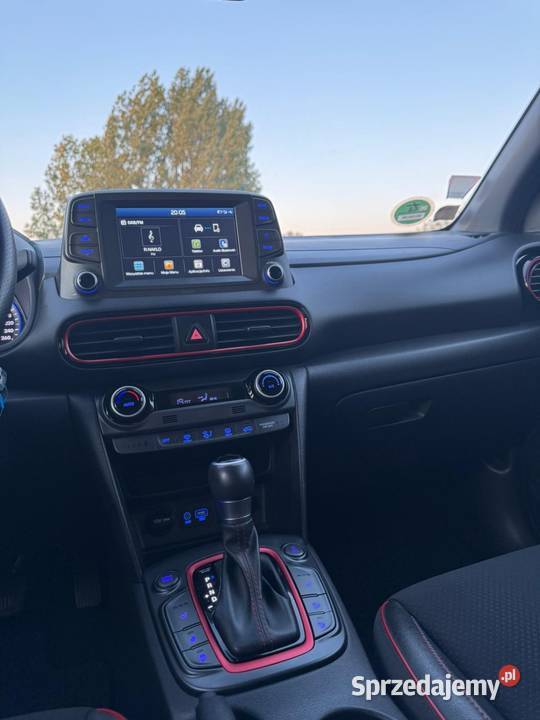 Pokna kona sprowadzony Bydgoszcz