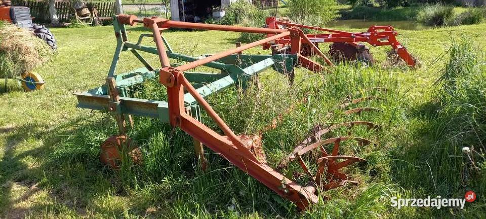 Gruber nieuszkodzony Dąbie