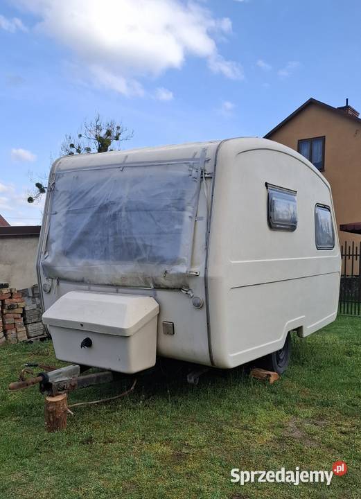 Niewiadów n132 Wieloryb Płońsk