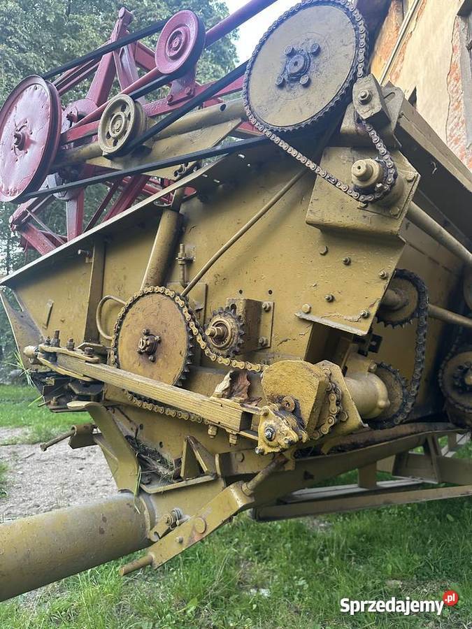 Ładny Bizon Z 40 Szklarnia