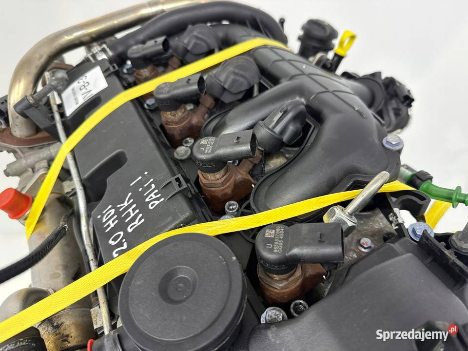 SILNIK RHK Peugeot Expert Citroen Jumpy Fiat lubelskie