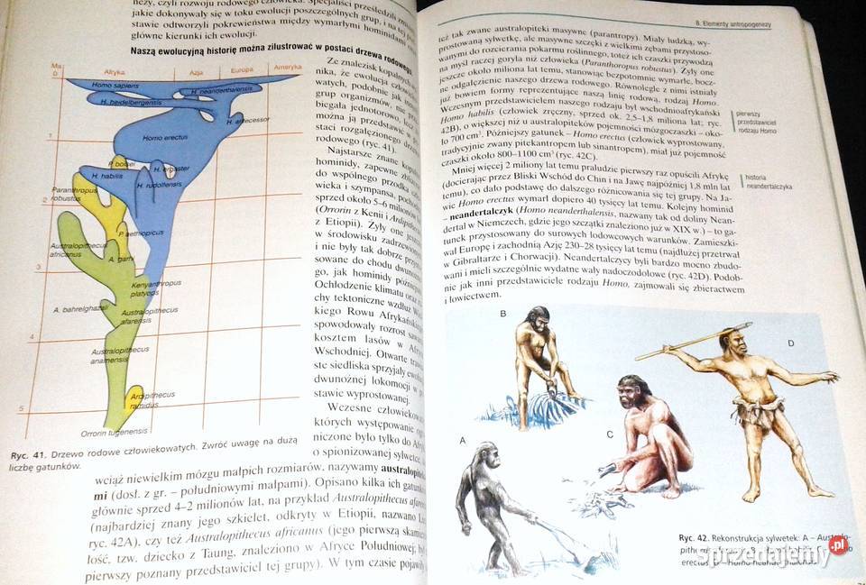 Biologia 2 Podręcznik Jacek Balerstet Ewa Rok wydania 2003 Chełm