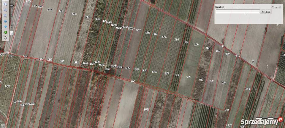 sprzedam pole Rzeczyca Sucha zalesie