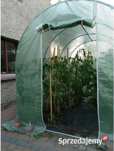 TUNEL foliowy OGRODOWY zielony UV4 3x2x2m 6m2 świętokrzyskie Kielce sprzedam