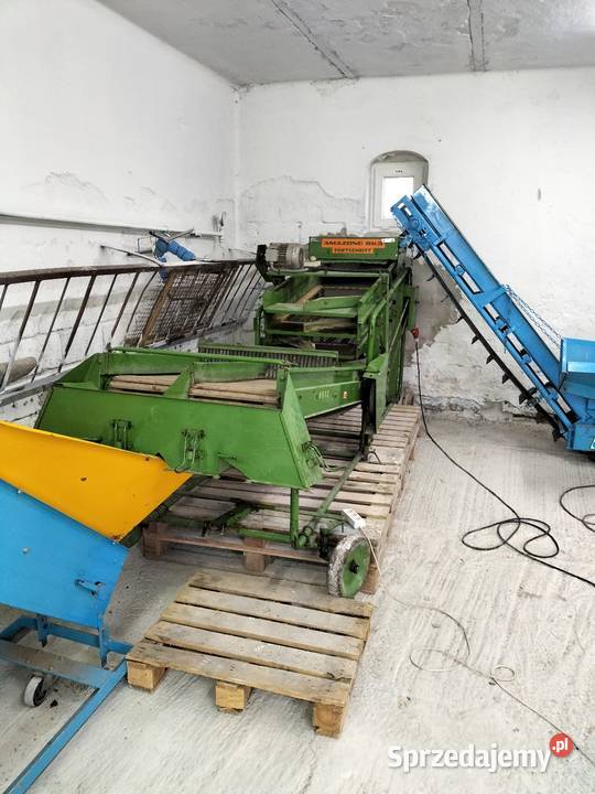 Sortownik ziemniaków AMAZONE BK3 nieuszkodzony sprzedam