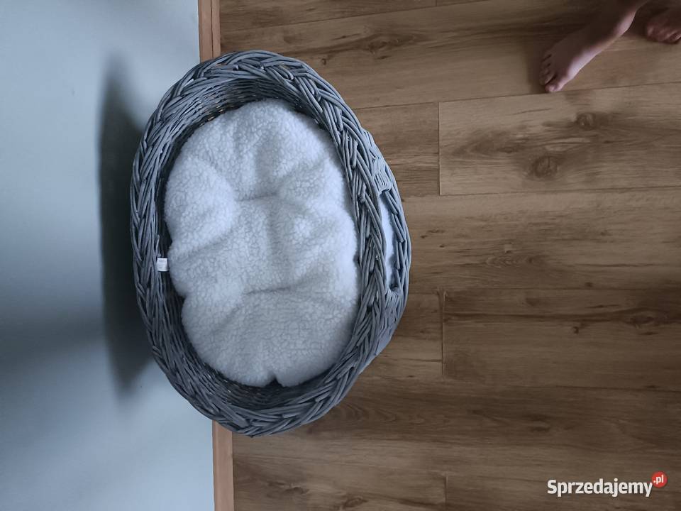 Domek zwierzaka mazowieckie Rybie