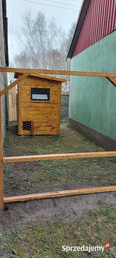 Kurniki kur Nowy Częstochowa