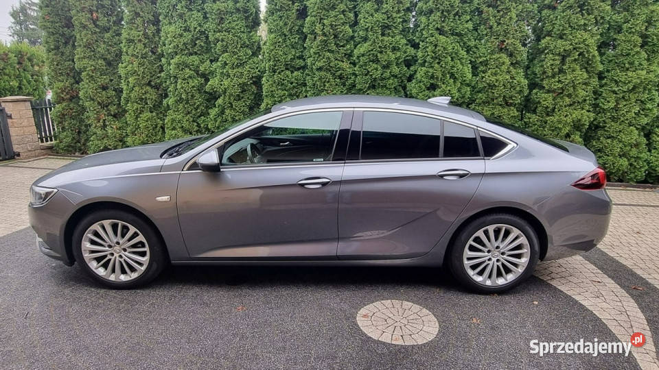 Opel Insignia 165 Head UP PółSkóry Serwis ASR (kontrola trakcji) Płońsk