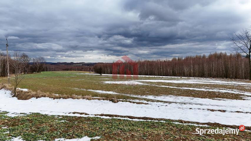 Działkę sprzedam 1176m2 Ropczyce budowlana